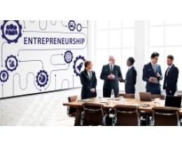 Advanced Entrepreneurship Skills